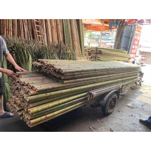 sạp giáo tre trúc, sạp giáo trát ngoài