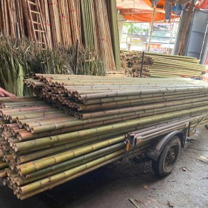 sạp giáo tre trúc, sạp giáo trát ngoài