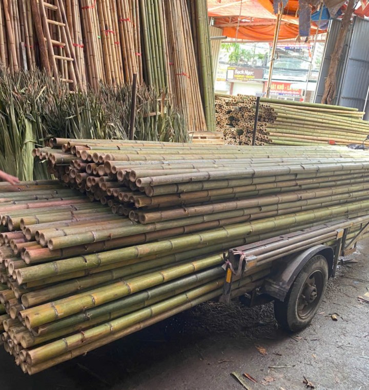 sạp giáo tre trúc, sạp giáo trát ngoài